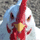 Animal_Defense-60760_[Java.UZ]